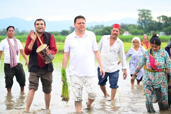 सीएम धामी ने खटीमा में की धान रोपाई, किसानों के श्रम को किया नमन